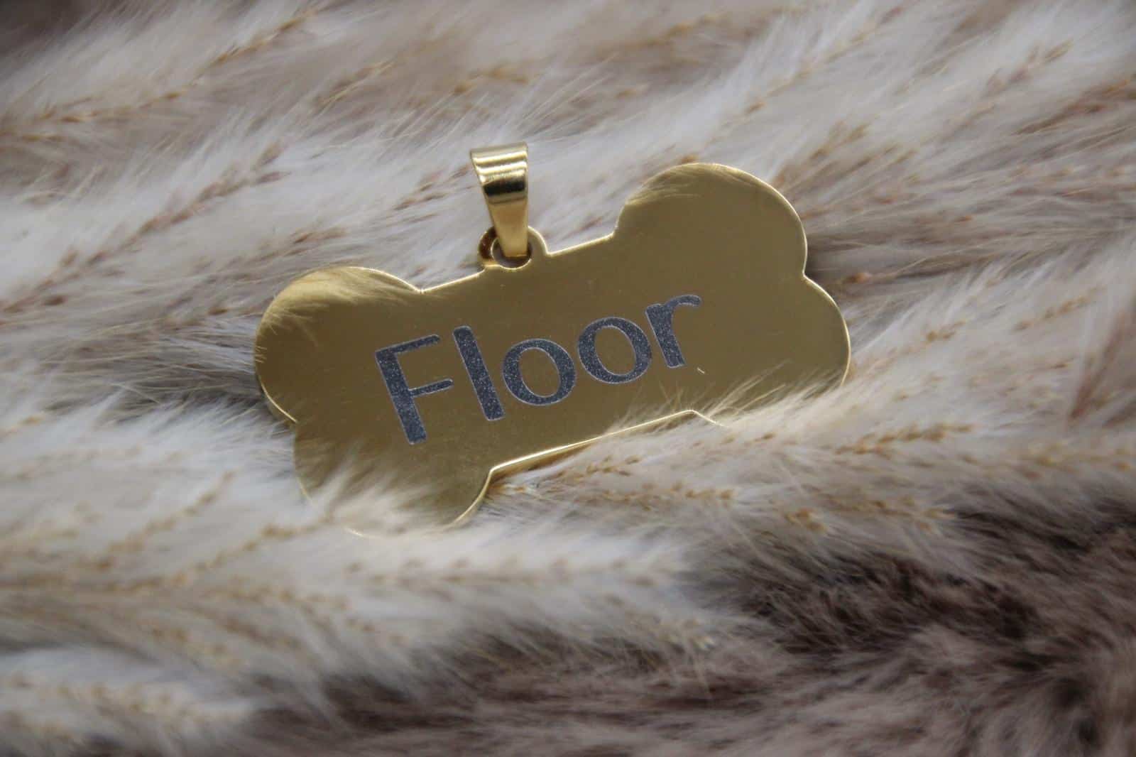 Hondenpenning met naam - Bot