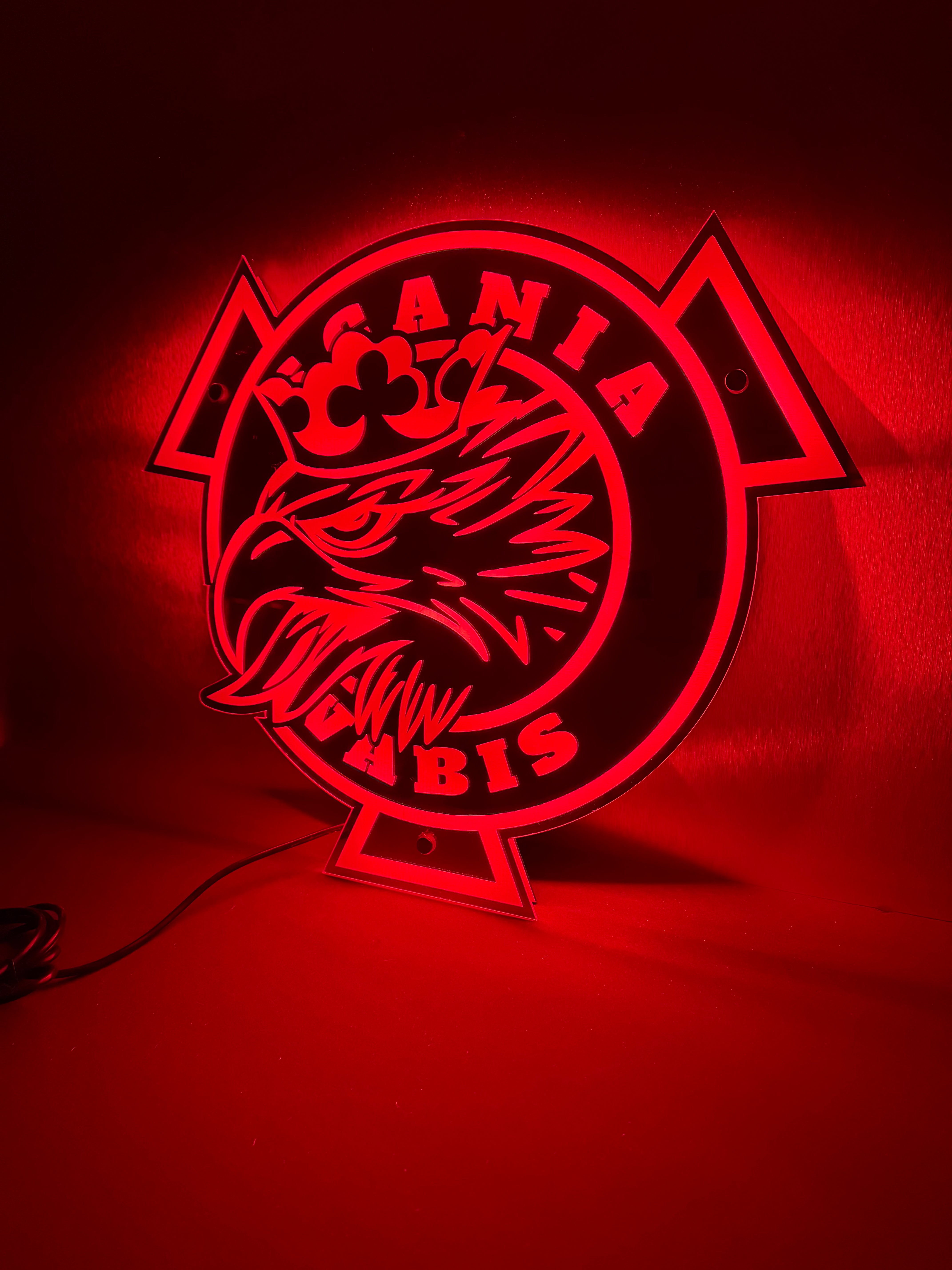 Scania Vabis Rond LED Spiegel Achterwand V2 - 55x48