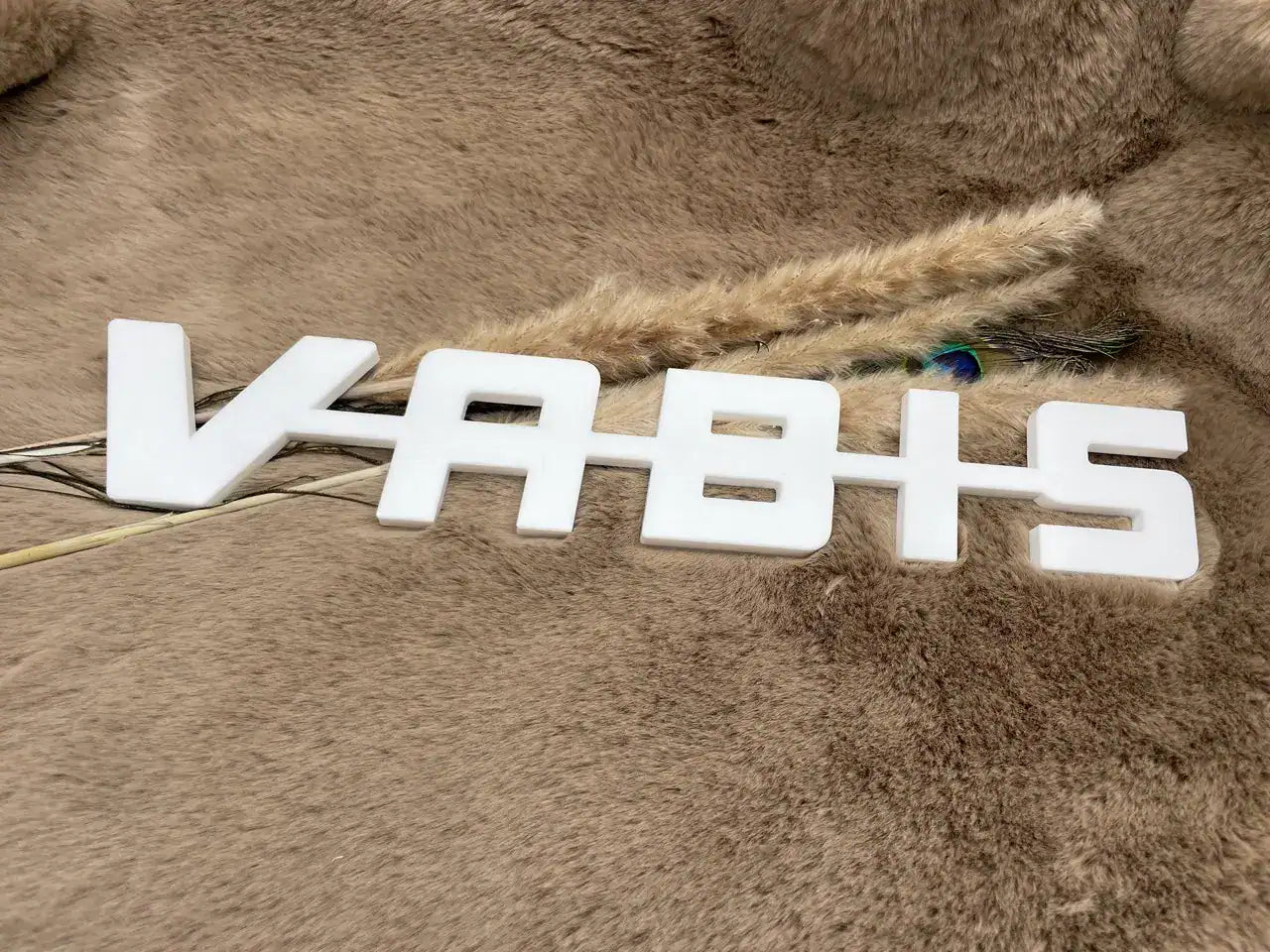 Scania VABIS - Plexiglas Wit - 8mm